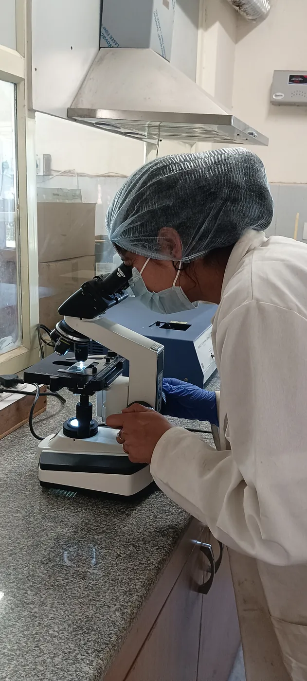 A PSI scientist studies a water sample under a microscope